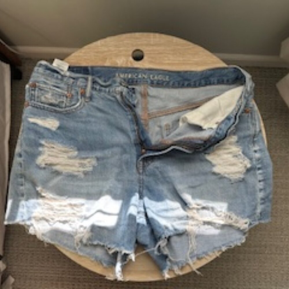 AE Denim '90s Boyfriend Short